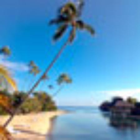 Dairy Queen Grill & Chill